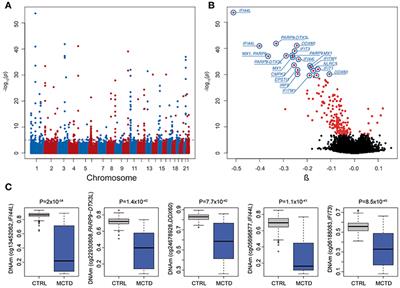 Epigenome-Wide Comparative Study Reveals Key Differences Between Mixed Connective Tissue Disease and Related Systemic Autoimmune Diseases